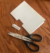 Fold the paper in half and cut the hole