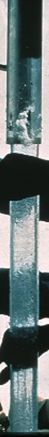 Ice core sample