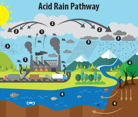 Acid rain cycle