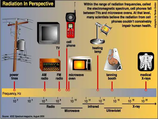 radiation in perspective
