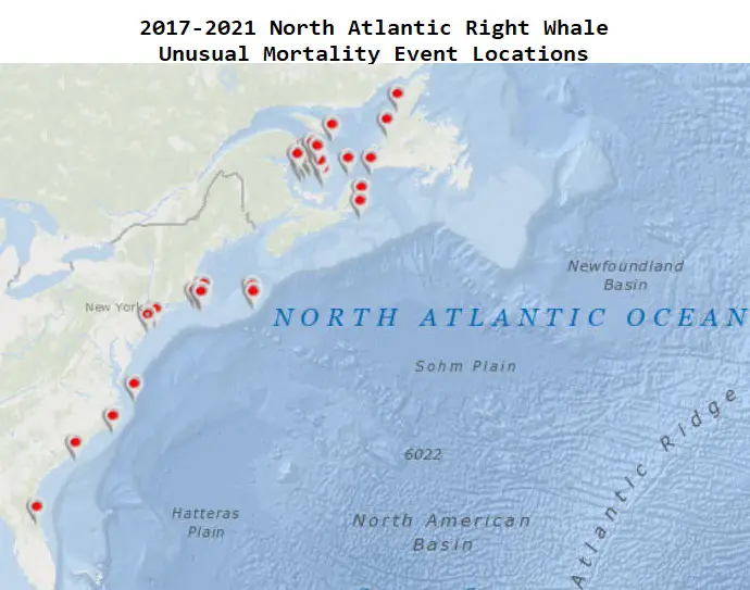 2017-2021 North Atlantic Right Whale Unusual Mortality Event Locations